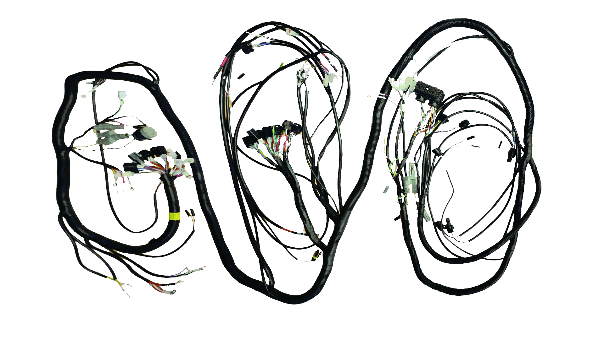 W020240830560584800772