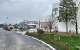 sj_img_10